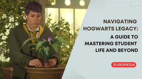 The Influence of the Hogwarts Legacy Witch Dormitory on Career Choices